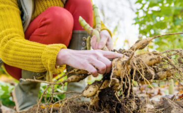 Обложка: ABO PHOTOGRAPHY / shutterstock