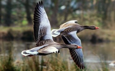 Фото из соц сетей