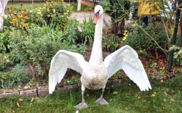 Фото: Пинский телеграм