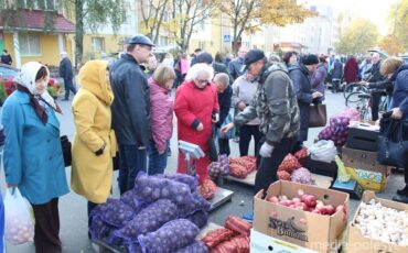 Сельскохозяйственная ярмарка, фото из архива МП