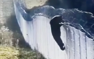 Скриншот из видео