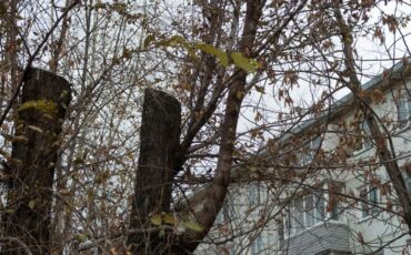 Фото используется в качестве иллюстрации