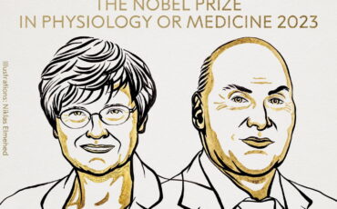 Иллюстрация Никласа Элмехеда для Нобелевского комитета