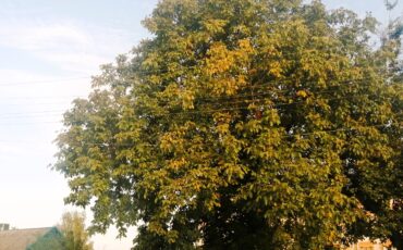 фото из соцсетей