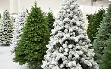 Фото: depositphotos/ryzhov