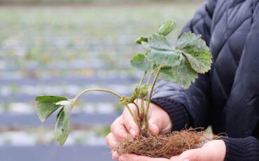 Фото Пинский райисполком