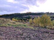 Запланированное место строительства накопителя фекальных отходов под Молодечно. Фото Андрея Проводова, Kraj.by