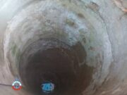 Фото: ОСВОД