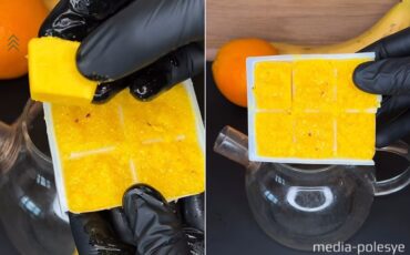 Коллаж Медиа-Полесье