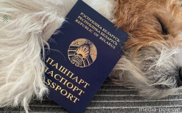 Фото иллюстрационное