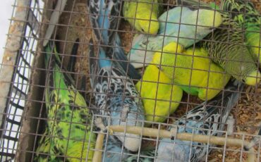 Фото: 32.fsvps.gov.ru