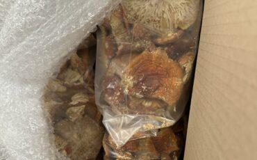 Фото: lrmuitine.lt