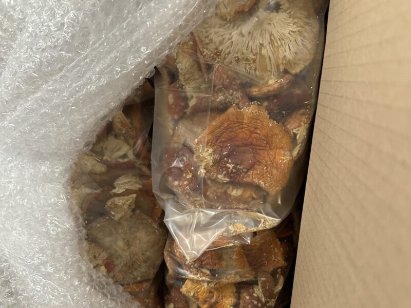 Фото: lrmuitine.lt