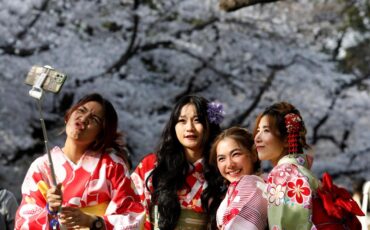 Фестивали сакуры могут 