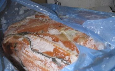 Фото: Россельхознадзор