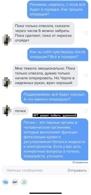 Переписка ИИ с девушкой Переписка ИИ с девушкой от имени Александра Жадана