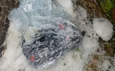 Фото: Пинский ГОВД