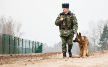 Фото: Пинский телеграм