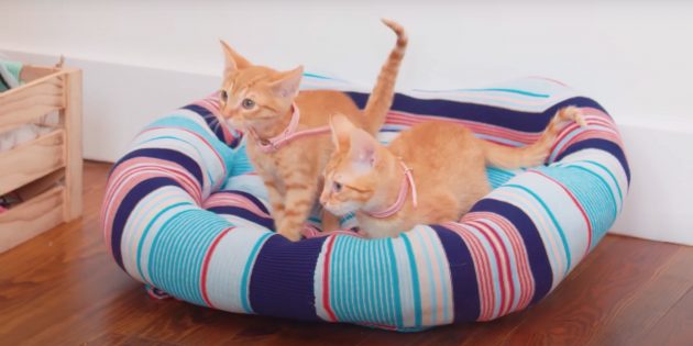 Как сделать лежанку для кошки из свитера своими руками