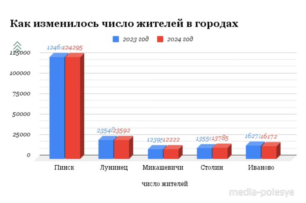 Инфографика Медиа-Полесье