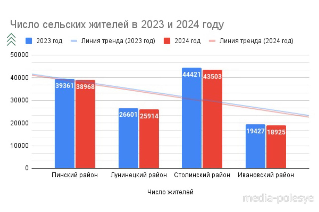 Инфографика Медиа-Полесье