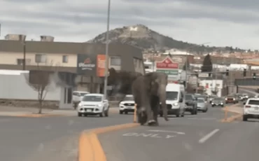 Скриншот из видео