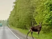 Фото из группы 