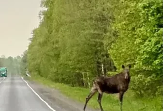 Фото из группы 