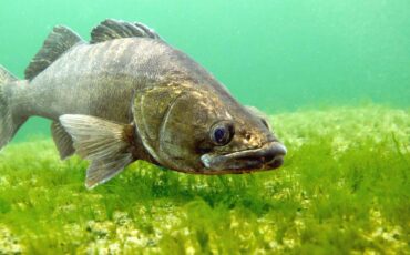 Фото иллюстрационное