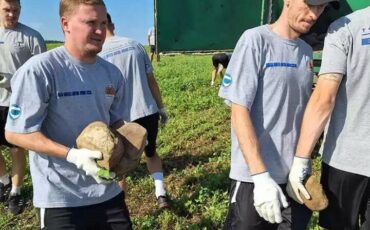 Фото используется в качестве иллюстрации