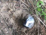 Фото используется в качестве иллюстрации