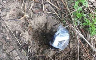 Фото используется в качестве иллюстрации