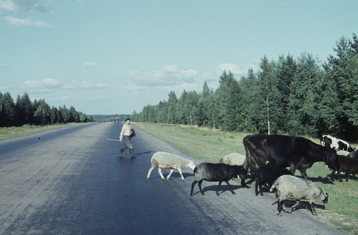 Фото Джоэль Мартин 1961 год