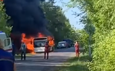 Скрин из видео