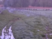 Скриншот из видео