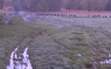 Скриншот из видео