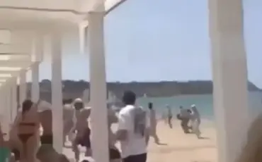 Скрин видео соцсетей