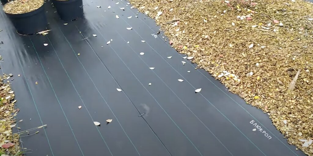 Застелите землю плёнкой Как избавиться от пырея на огороде с помощью укрывного материала