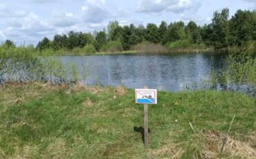 Место происшествия. 15 июня 2024 года. Фото: МЧС