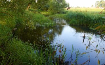 Река Меречанка. Фото Дмитрия Ивченко