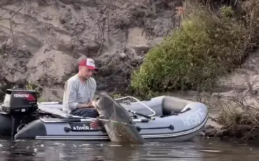 Скриншот из видео