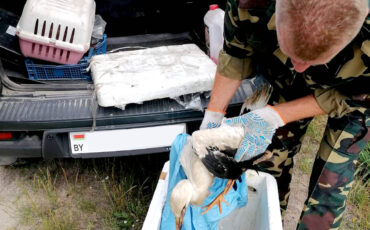 Фото: Пинский телеграм