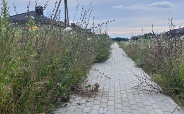 Фото читателя из Пинска