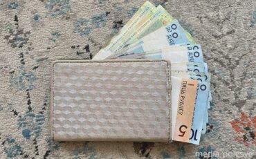 Иллюстрация media-polesye.com