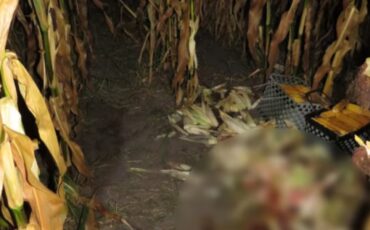 Скриншот видео