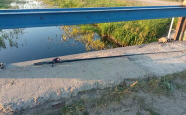 Фото: https://t.me/osvodgomel