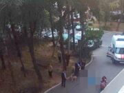 Место убийства в Барановичах. Фото: «Наш край»