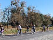 Фото: Пинский телеграм