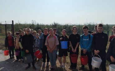 Фото: Столинский телеграм