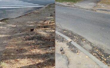 Коллаж Медиа-Полесье, фото из соцсетей